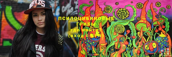 первитин Инсар